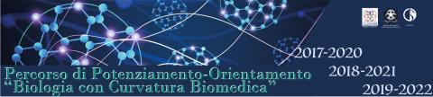 banner curvatura biomedica